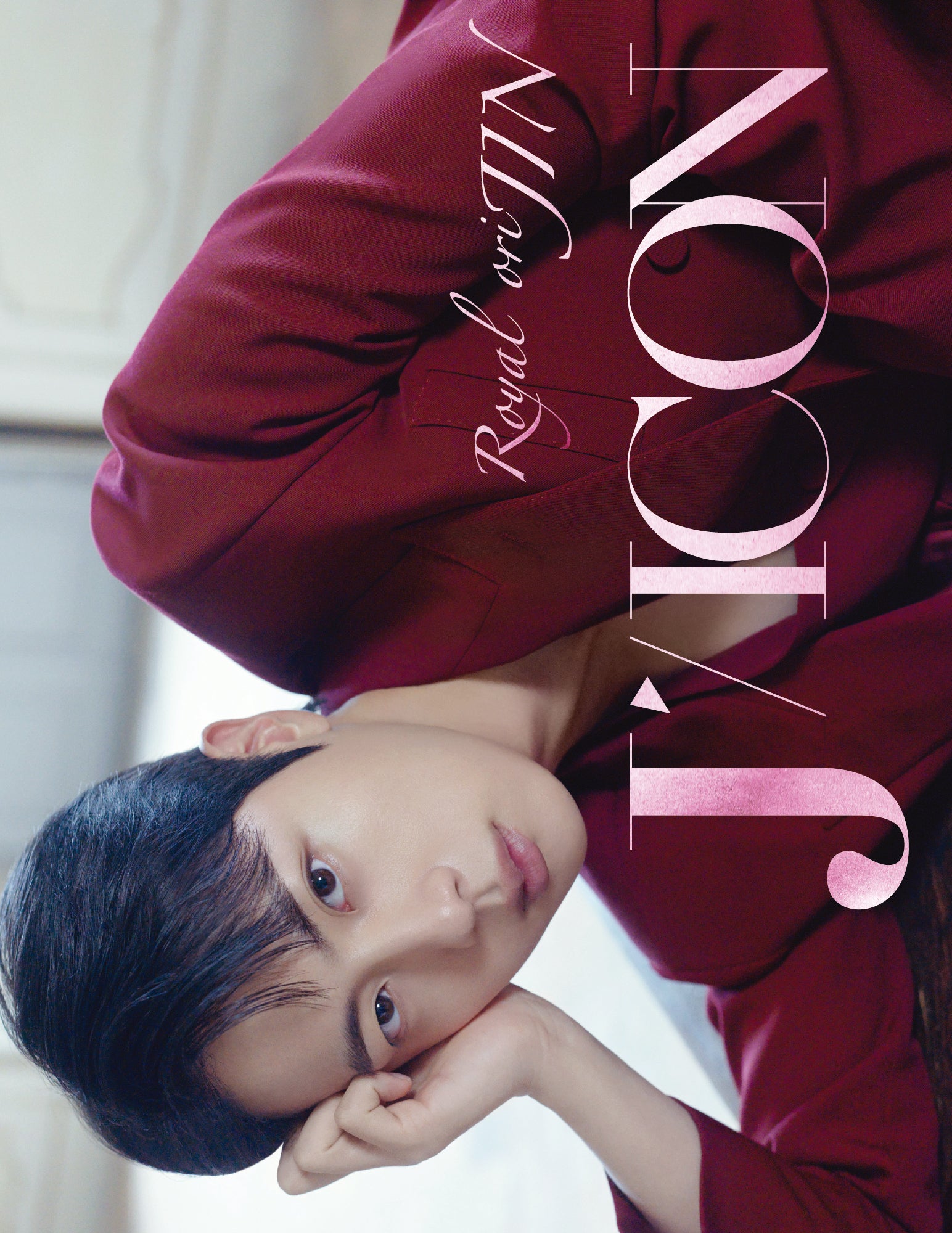 BTS JIN ジン マスタニム タルソクコンフォトブックA・ B 2冊セット