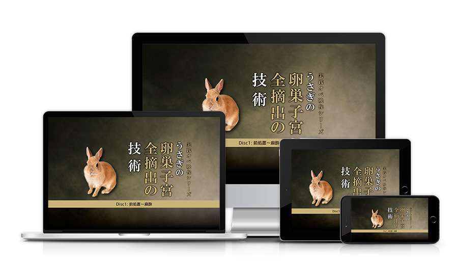 実践オペ映像シリーズ うさぎの卵巣子宮全摘出の技術 | 医療情報研究所