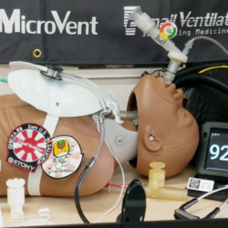 564953_l.png?202409181716