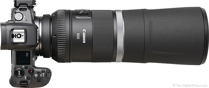 Canon RF 800mm F11 IS STM Lens Review