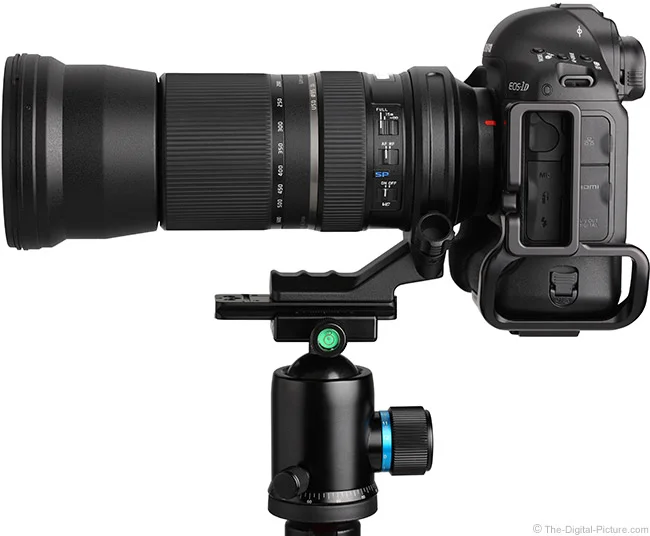 Tamron 150-600mm f/5-6.3 Di VC USD Lens Review