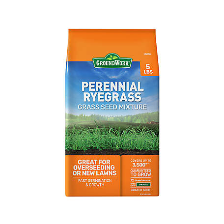 Growtrax 4.58 lb. 100 sq. ft. Kentucky Blue Rye Grass Seed Mixture