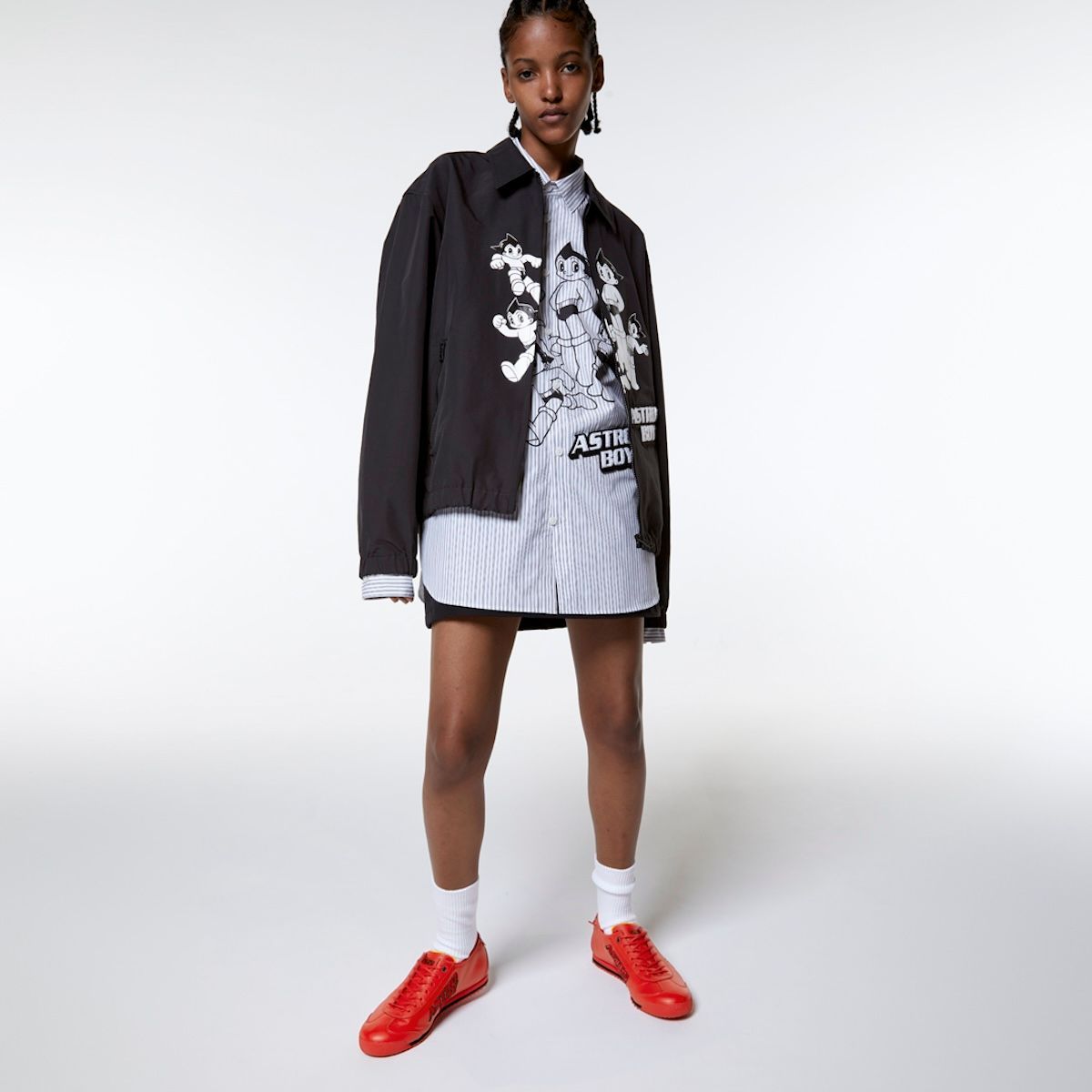 エパミノンダス（1オス、アンダマン島） 【公式通販】