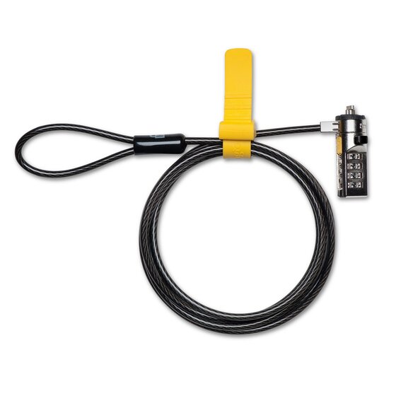 希少 骨董品 ライオンのチェーンロック 希少 骨董品 ライオンの