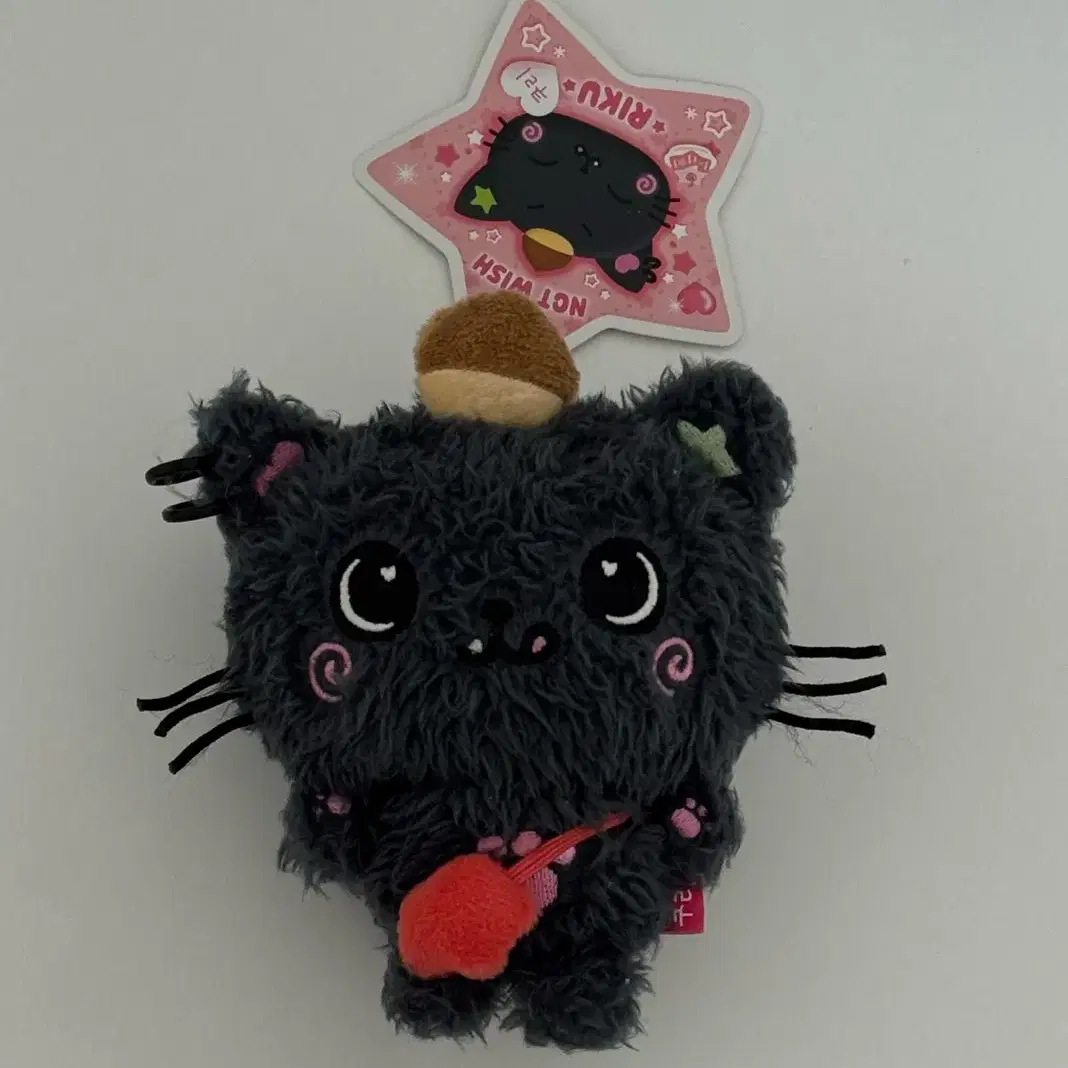 未開封 nctwish steady wish doll リク クリ ぬいぐるみ nctwish wish