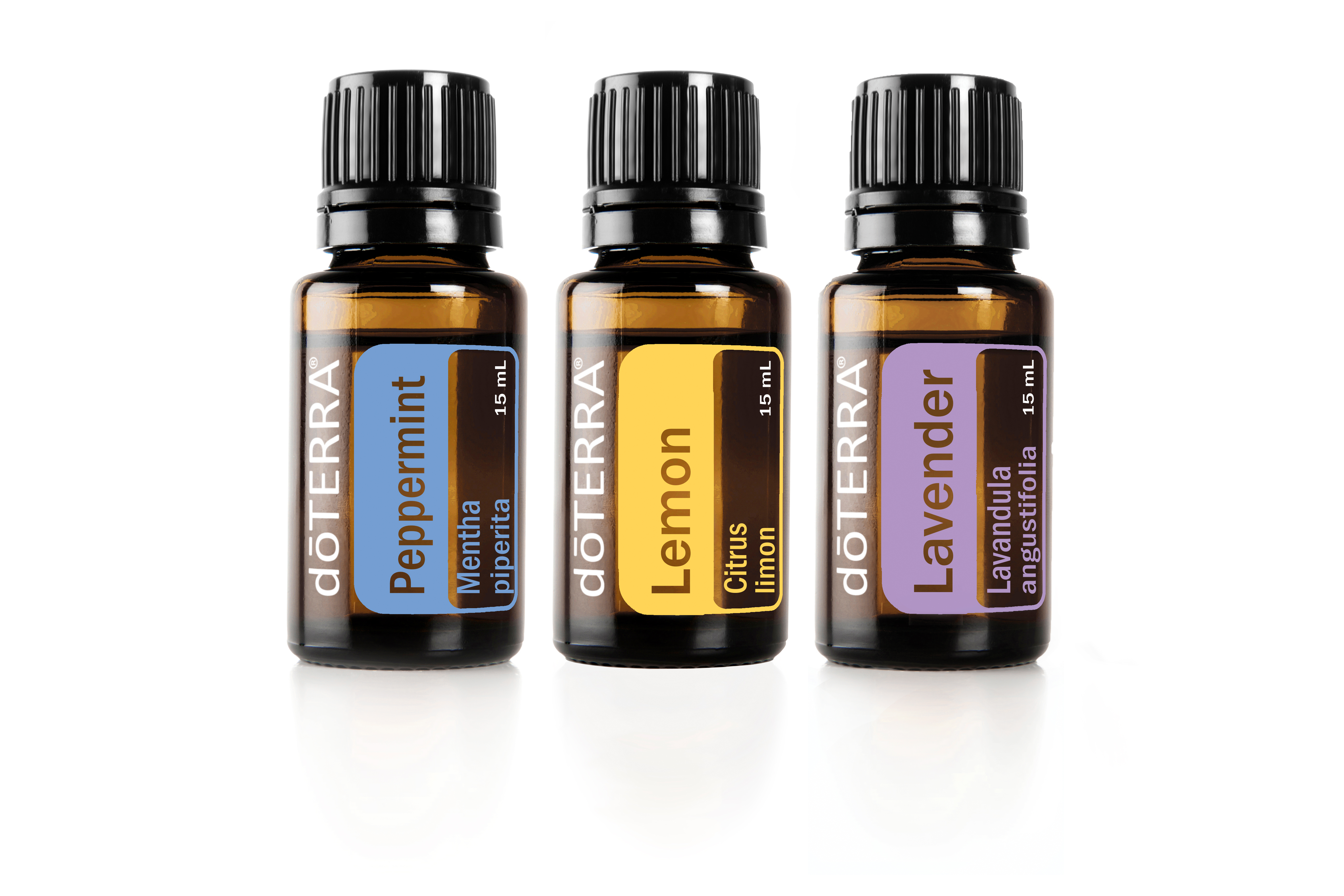 新品 ／doTERRA home ドテラ home コンベンションキット／全品 【公式