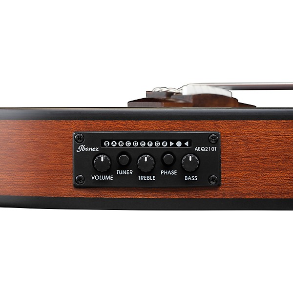 Ibanez FRH10NL Left-Handed Nylon-String Acoustic-Electric Guitar