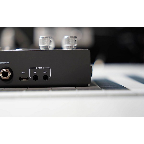Matthews Effects The Technician Dual-Channel Audio Manipulator