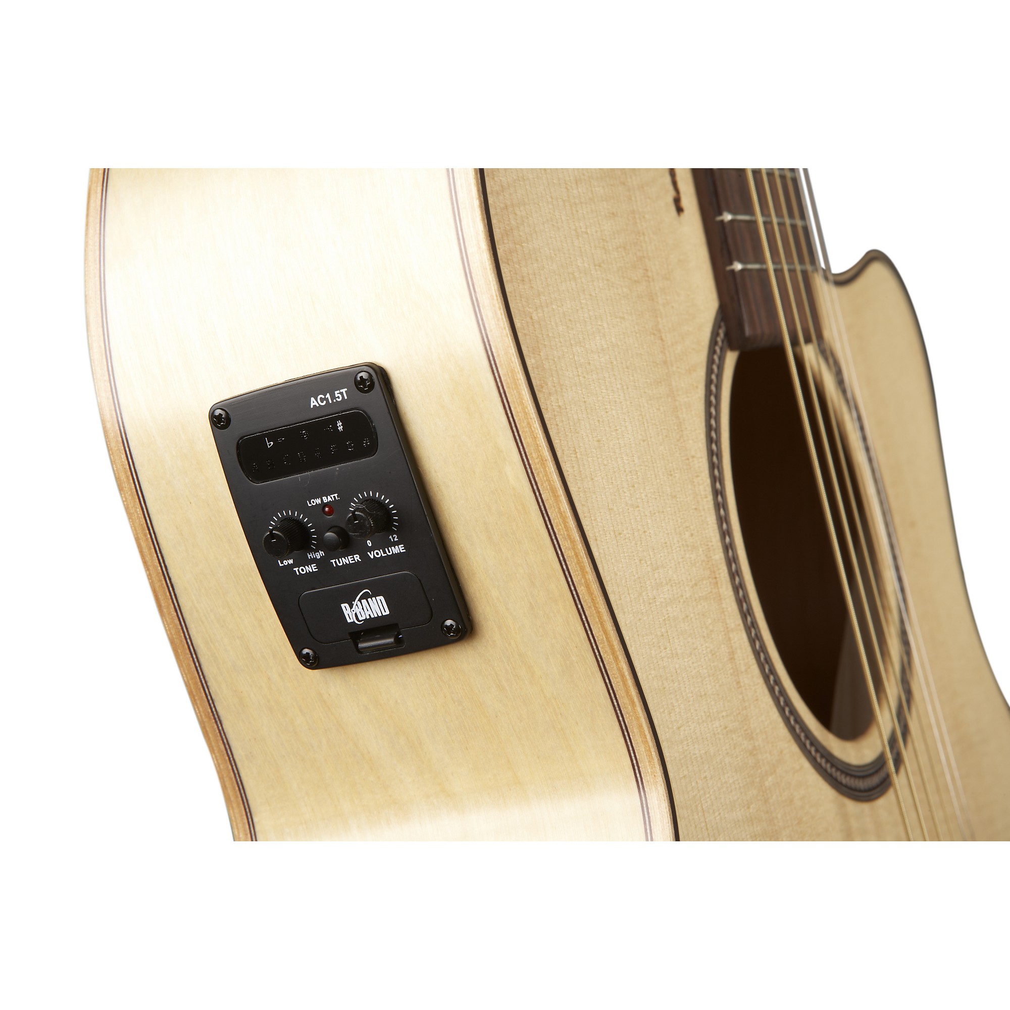 新品弦張替済】Seagull エレアコ Amber Trail SG T35 新品弦張替済