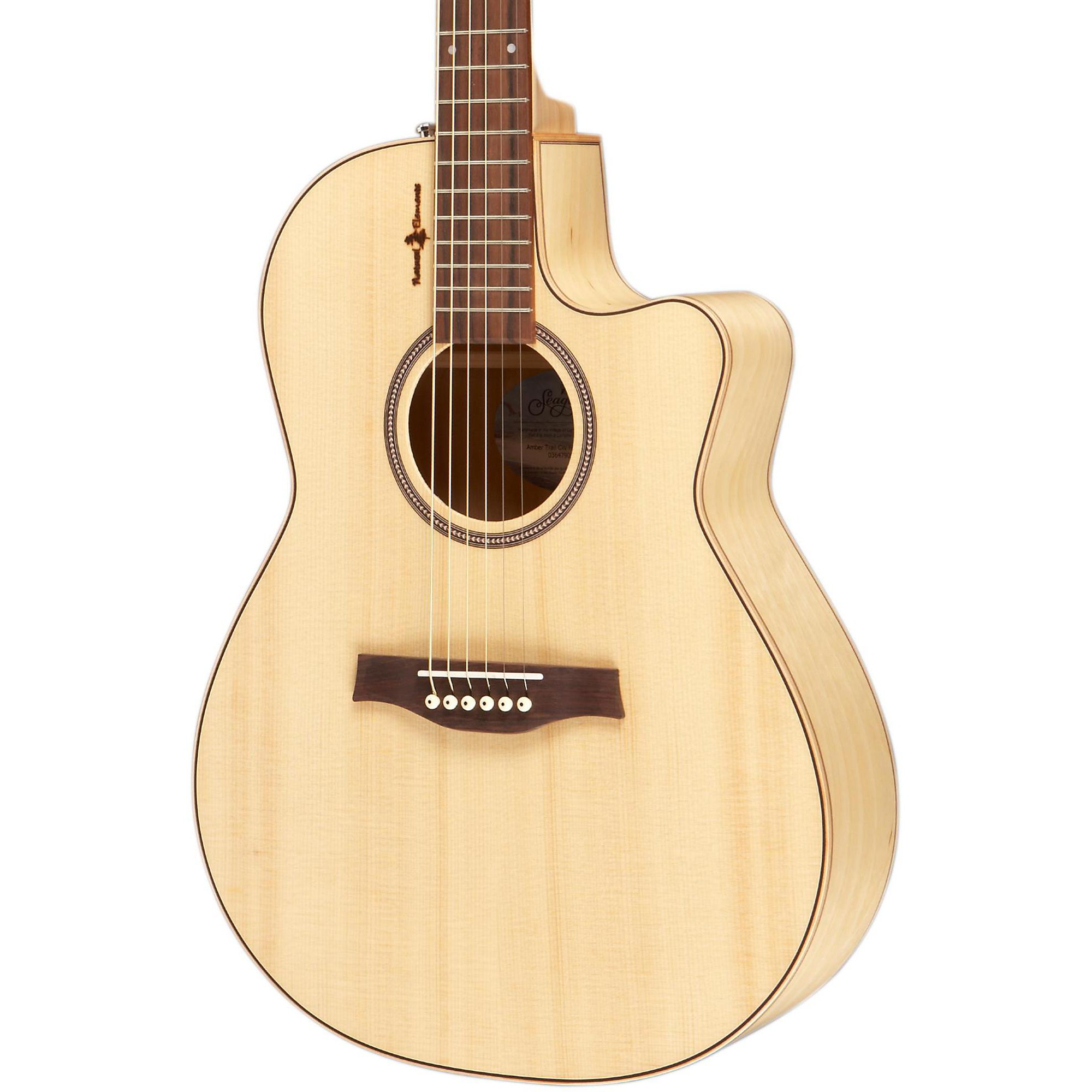 新品弦張替済】Seagull エレアコ Amber Trail SG T35 新品弦張替済