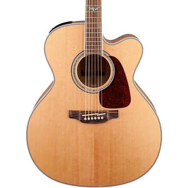Takamine G Series アコースティックギター早い者勝ち✨ Takamine G