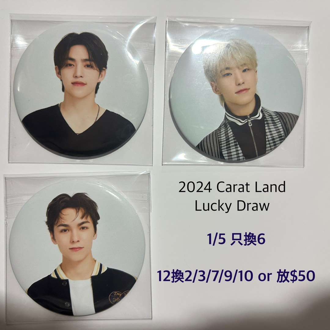 ウォヌうちわまとめて売りセットwonwoo seventeen セブチ