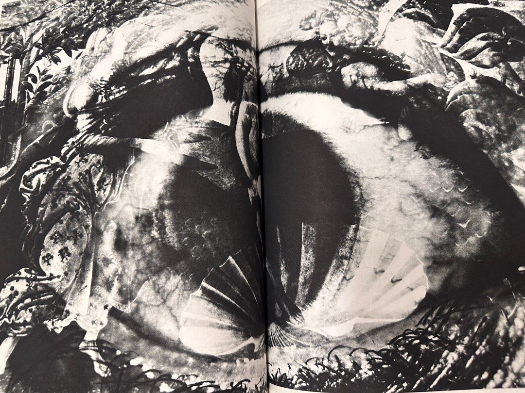 薔薇刑 細江英公写真集 （三島由紀夫 ）1963年（昭和38年）出版