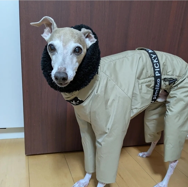 イタグレ服 ピムリコ インサレートスーツ IL インサレートスーツ