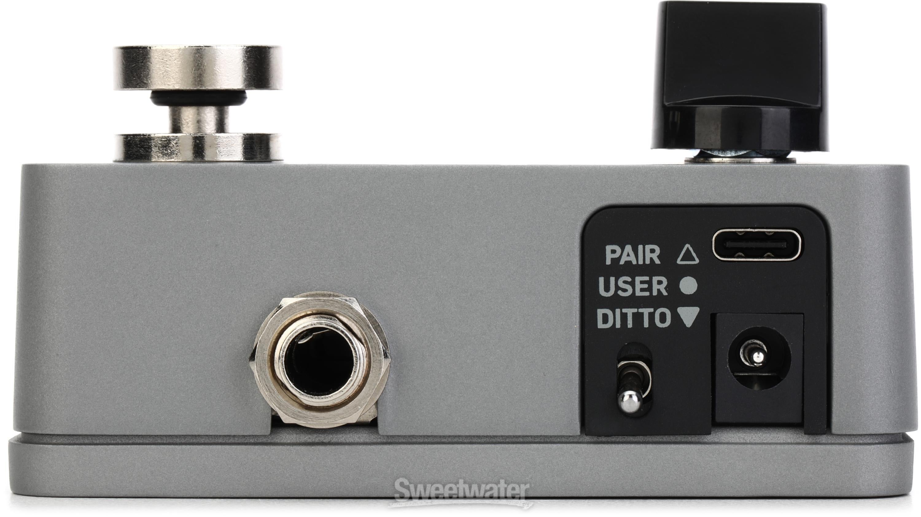 TC Electronic Ditto 2 Looper Pedal | Sweetwater
