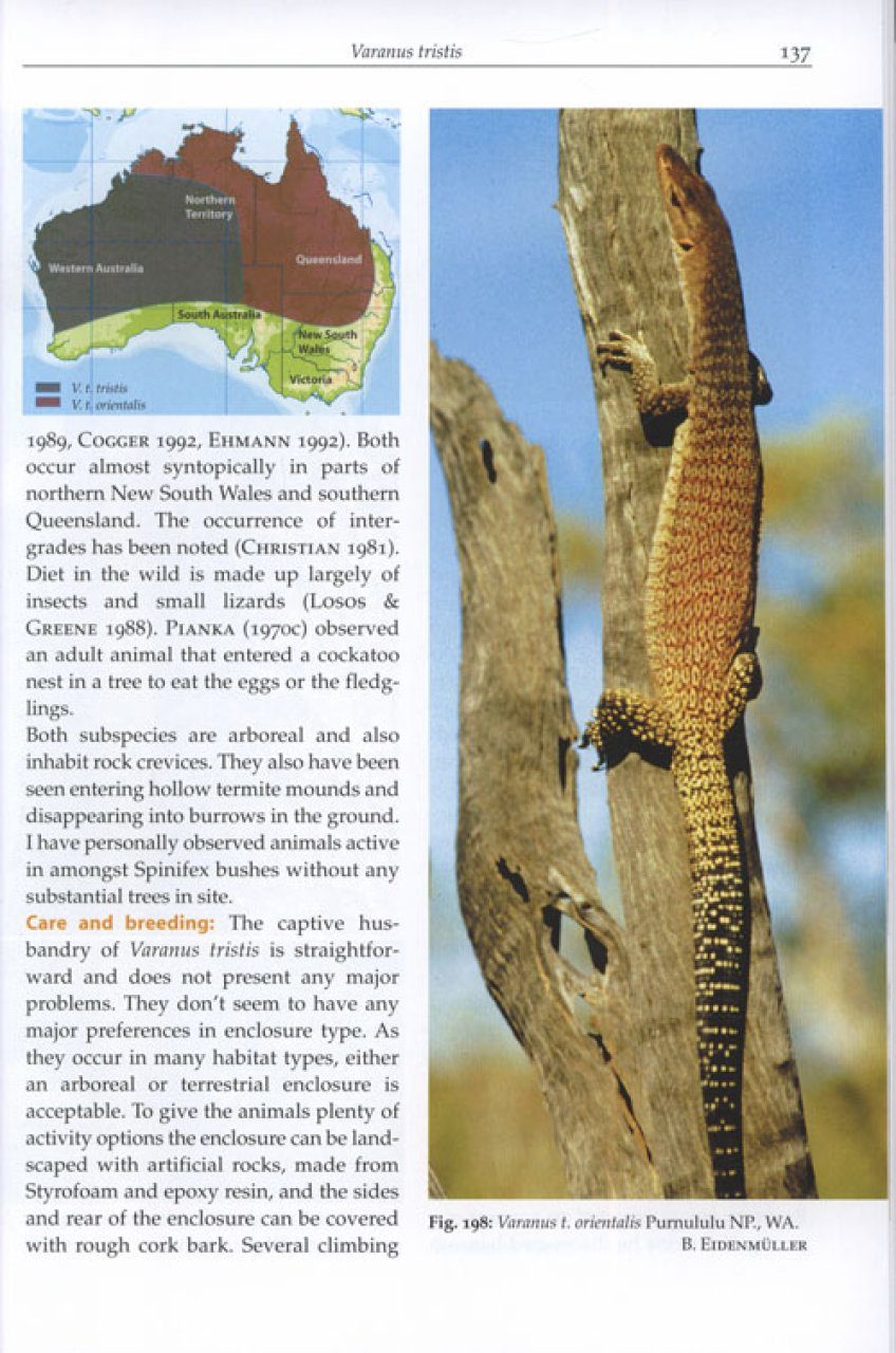 洋書 Monitor Lizards 自然史と飼育 Amazon.com: Monitor Lizards