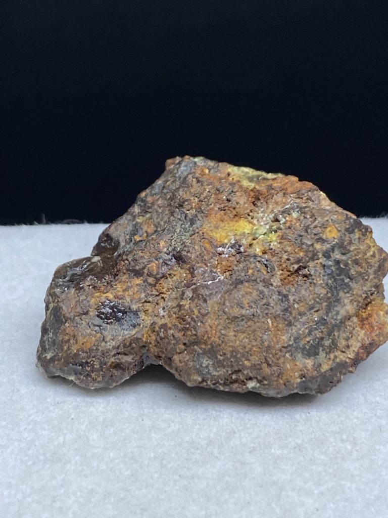 セリコ隕石 パラサイト隕石 スライス 標本 【公式通販】