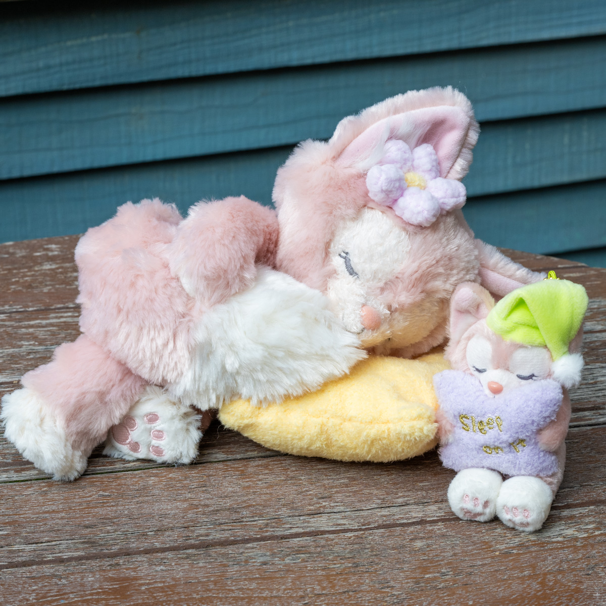 寝ている姿がかわいいリーナ・ベル登場！東京ディズニーシー