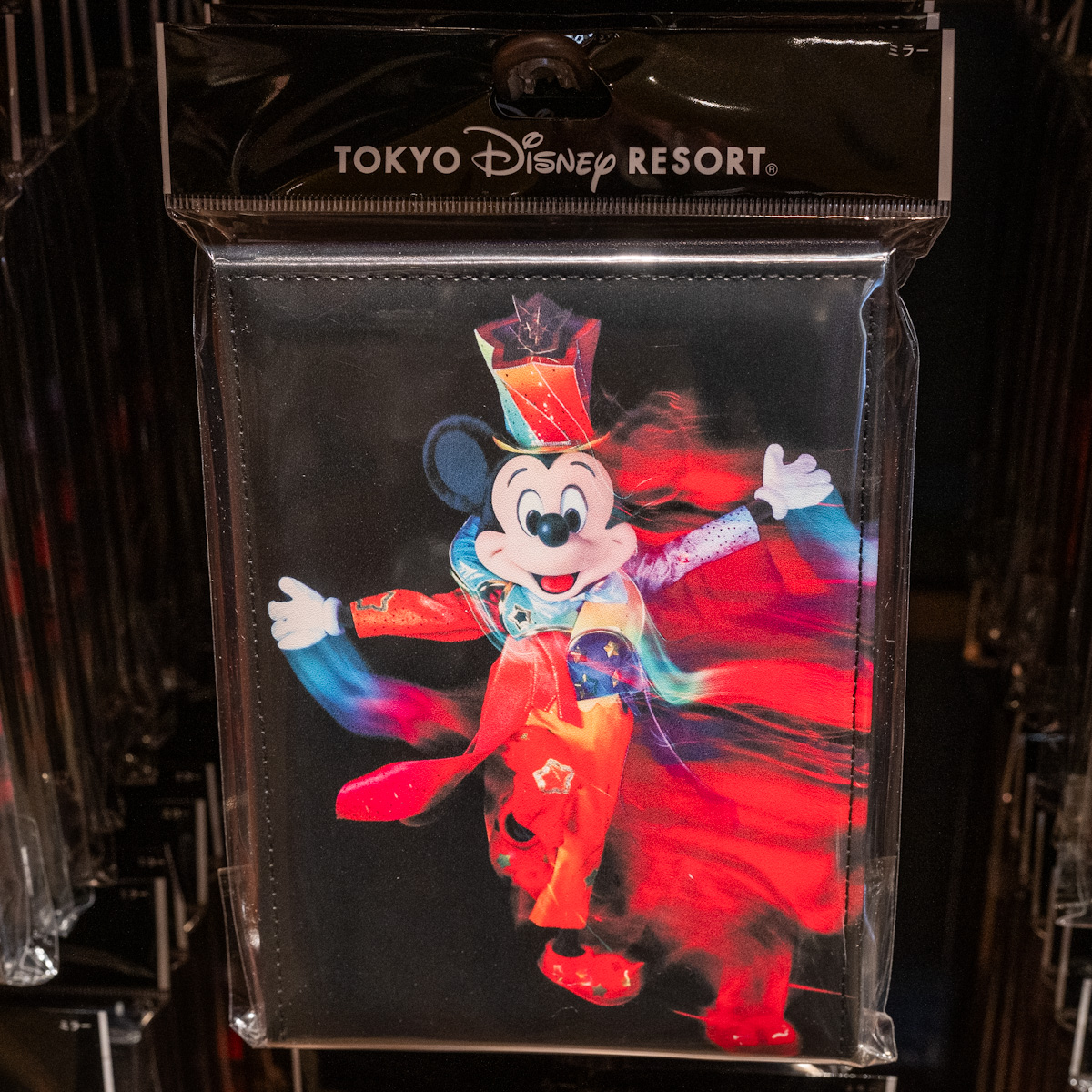 レア ディズニー イマジニングザマジック アート パネル 魚眼レンズ