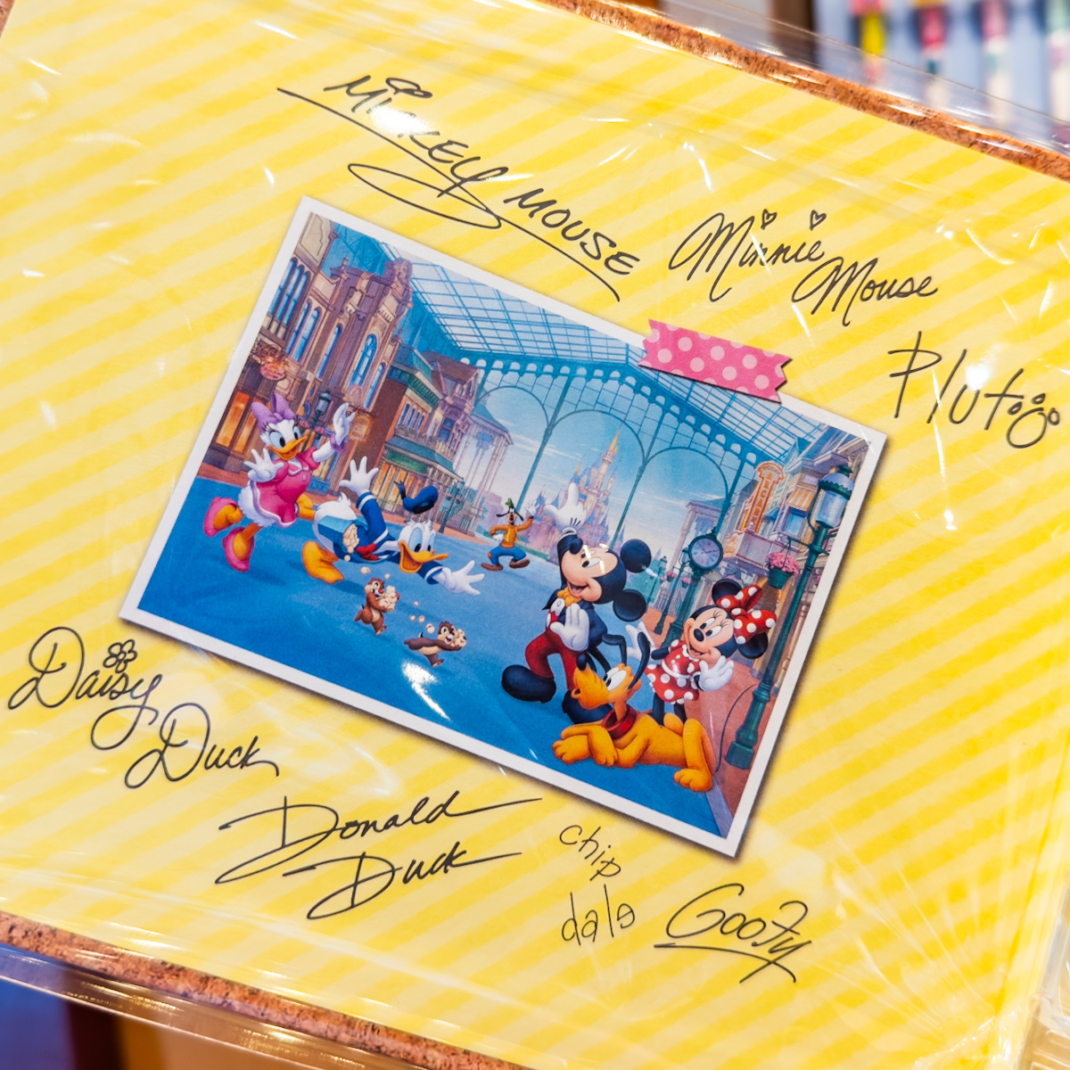 サインペン付き、ファイル式！東京ディズニーランド サイン帳 -