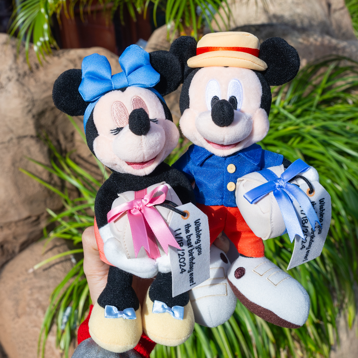 ディズニー ぬいぐるみバッジ エントランス プラザ ミッキー ミニー