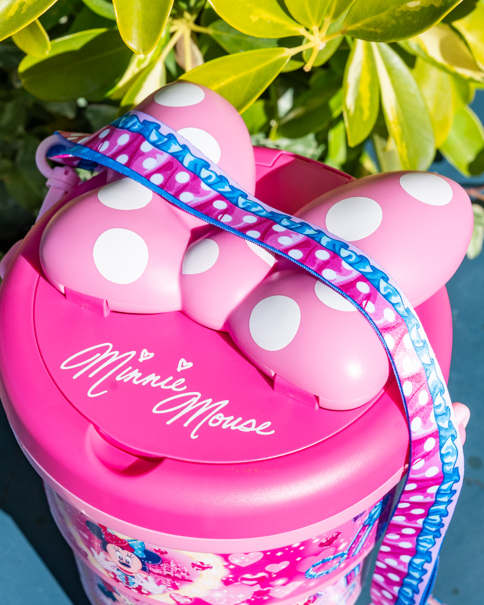 大きなリボン付き！東京ディズニーランド「ディズニー・パルパルーザ