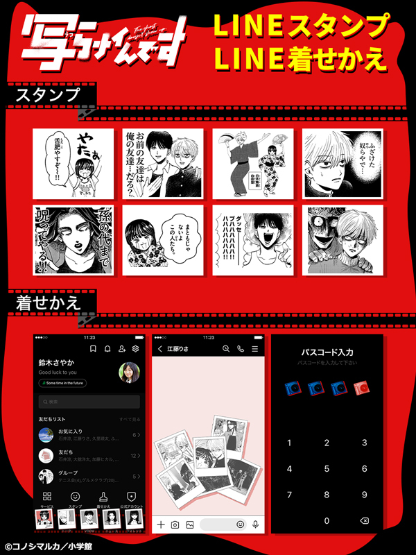 写らナイんです くじプラ 缶バッジ 6点セット くじプラ | 『写らナイん