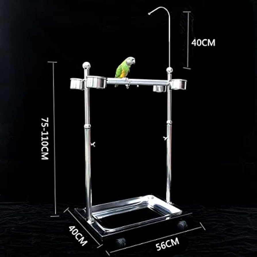 Amazon.co.jp: Aeon hum オウムスタンド バードラック 鳥プレイ