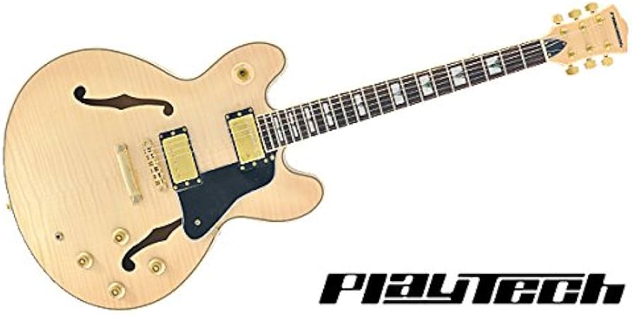 Amazon | 【国内正規品】 PLAYTECH プレイテック セミアコースティック