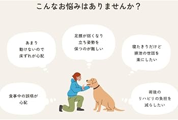 Amazon.co.jp: OneAid リラクッション L ブラウン : ホーム＆キッチン