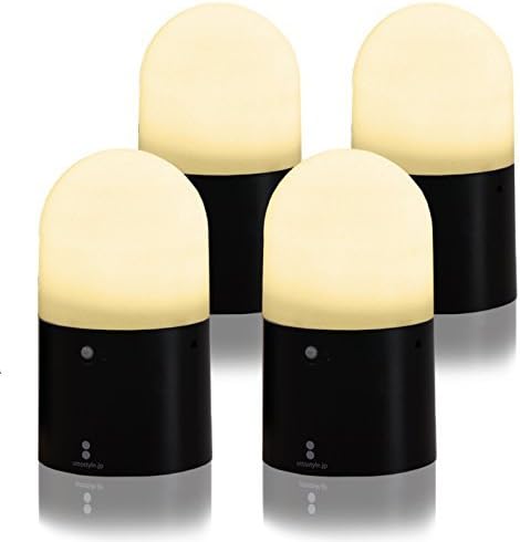 天井照明 Begonia2/CSA シーリングライト E26 LED 北欧レトロ