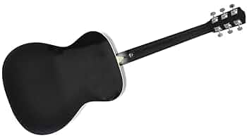 値下げしましたアコースティックギター PLAYTECH D4 ソフトケース