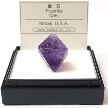 Amazon | SCIENCE ミニ鉱物標本 天才の石 「蛍石 八面体 フローライト