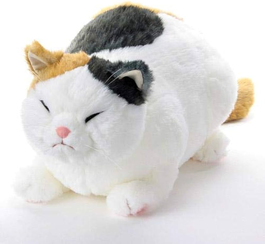 Amazon.co.jp: ぬいぐるみ 特大 (ネコ 猫 ねこ) マリア リラックス