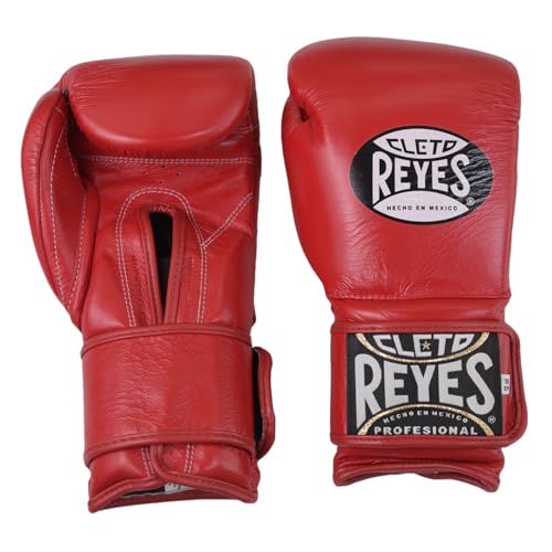 レイジェス セーフテック 10オンスグローブ 赤ボクシンググローブ
