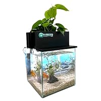 Amazon | せせらぎビオトープ 水替え不要【水槽セット】 20cm型 【色