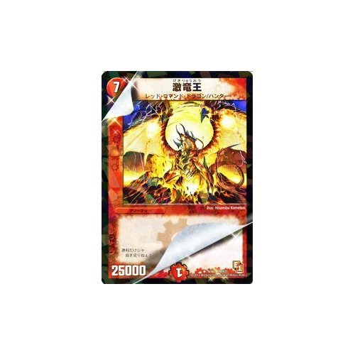 とろ@ プロフ読(願)キャンペーン中専用 デュエルマスターズ 引退品