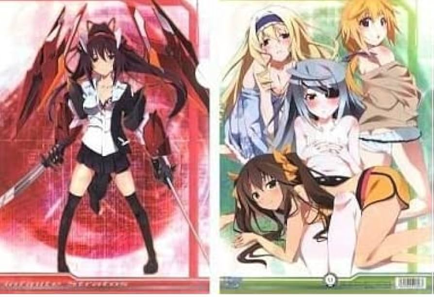 インフィニット・ストラトス アニメ 化 決定 A4 クリアファイル 希少