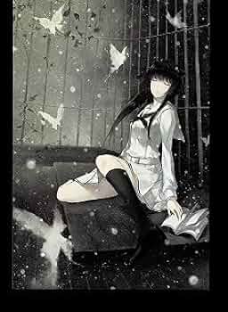 innocent grey 殻ノ少女画展 公式図録 白夜 Innocent Grey 白夜 公式