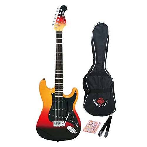 Gypsy Rose ストラトキャスター ブラックラメ 付属品多数付き Gypsy