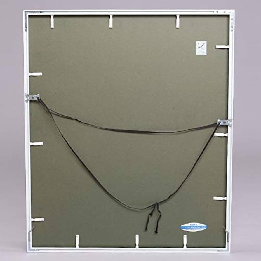 Amazon.co.jp: Konica アルミ額縁 GAROH 画廊 白 全紙 : ホーム＆キッチン