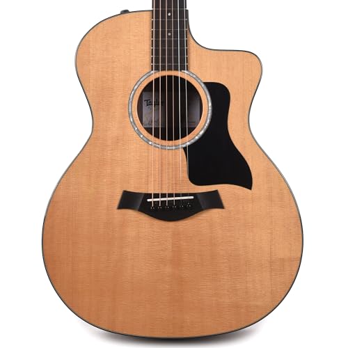 アコースティック ギター taylor 214ce」の人気商品一覧 | 安い商品を