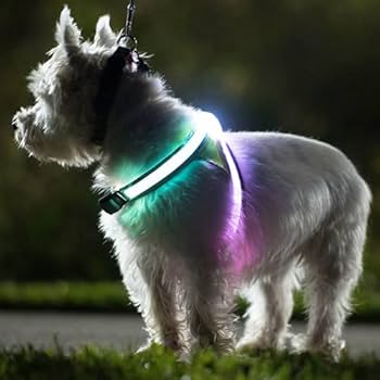 Amazon | 【日本正規品】LightHound ライトハウンド 光るハーネス 犬