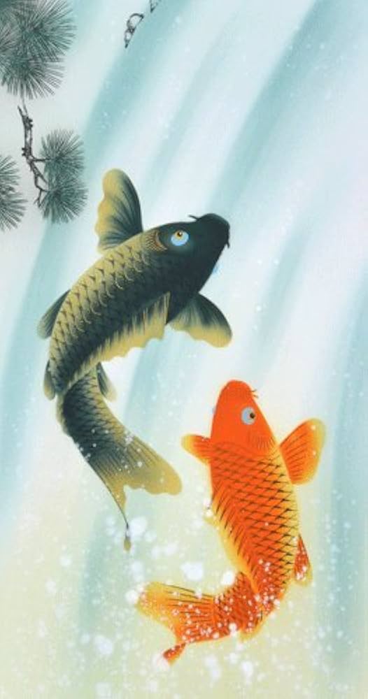 Amazon.co.jp: 掛軸 鯉の滝昇り 中浦硯堂(掛け軸 尺五立) : おもちゃ