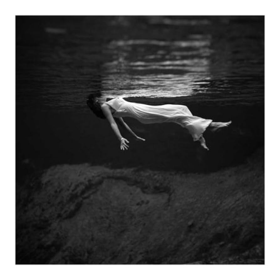 Weeki Wachee Spring/トニ フリッセル/ポスター Amazon.co.jp: Weeki