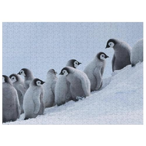 ペンギン パズル」の人気商品一覧 | 安い商品を通販サイトから探す