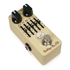 MESA BOOGIE FLUX-FIVE - ゲインブースター「FLUX-DRIVE」に5バンド