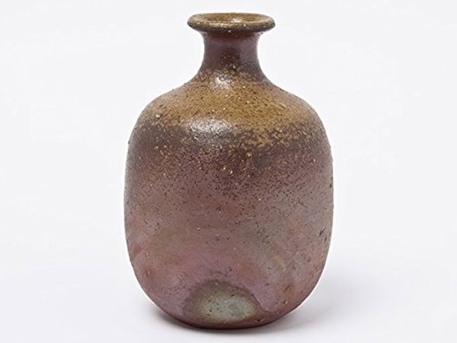 Amazon.co.jp: 人間国宝 伊勢崎淳 造 備前徳利 isezaki-03 : ホーム