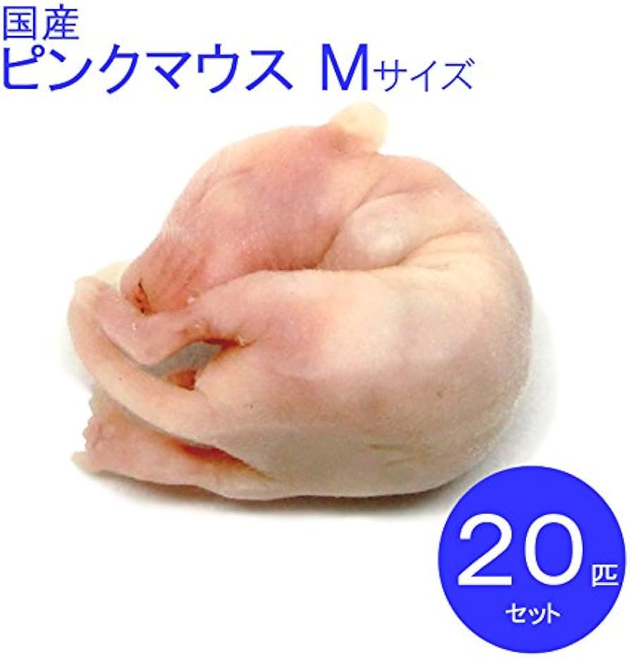 Amazon | 冷凍マウス ピンクマウス M 20匹 国産 SAfarm | SAfarm