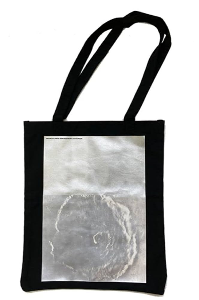 新品未開封】宮本浩次 冬の花 トートバッグ 宮本浩次 冬の花トート